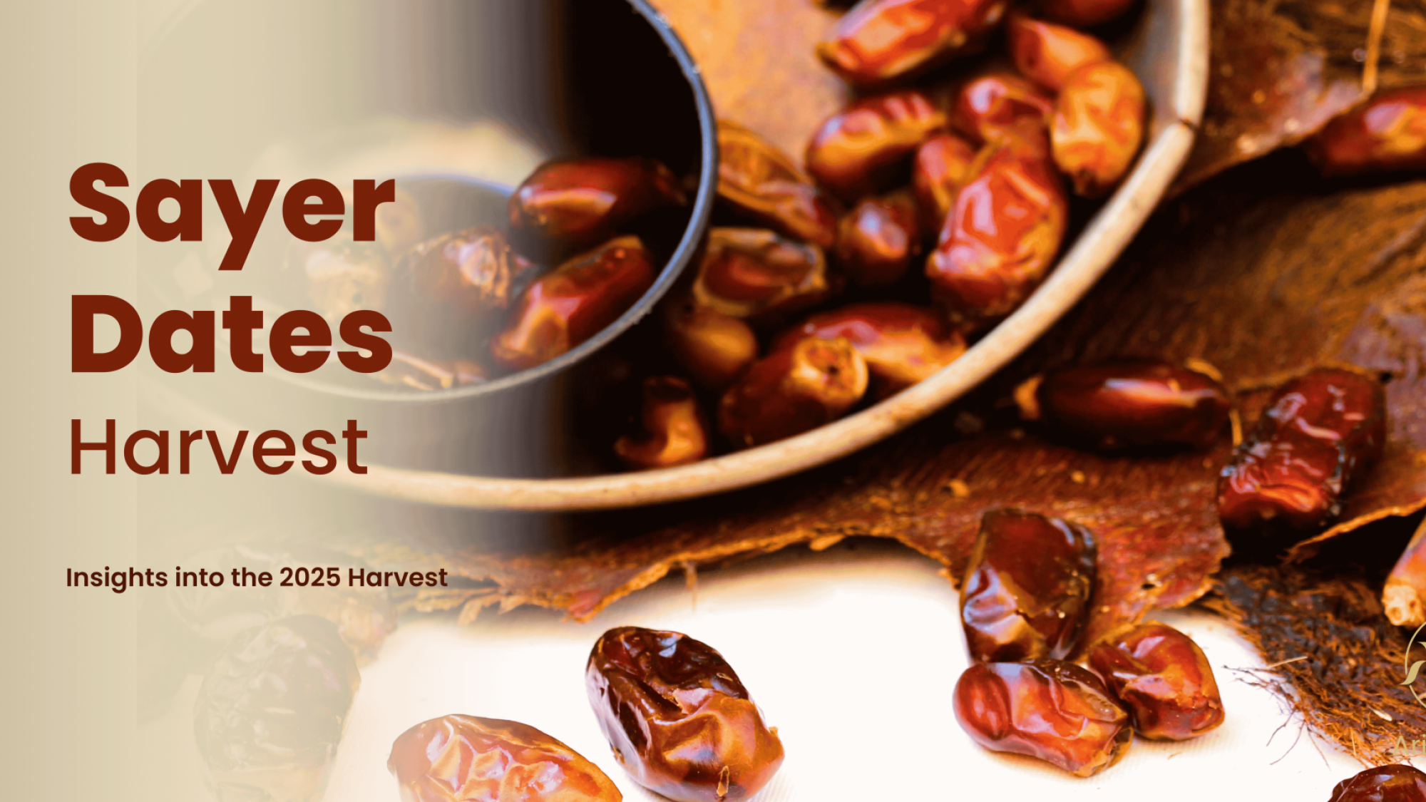 Teal and White Become a Licensed Insurance Agent Banner