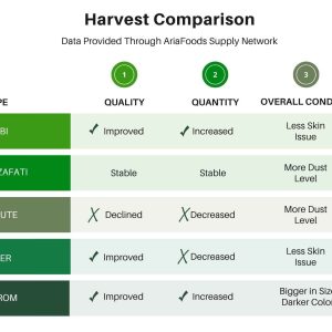 Global Dates Market Outlook 2025 — Insights from AriaFoods, Premium Iranian Dates Exporter