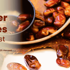 Sayer Dates; 2025 Harvest Overview and Market Outlook